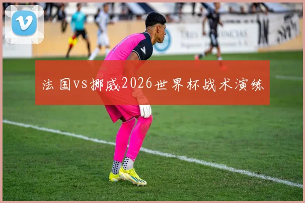 法国vs挪威2026世界杯战术演练