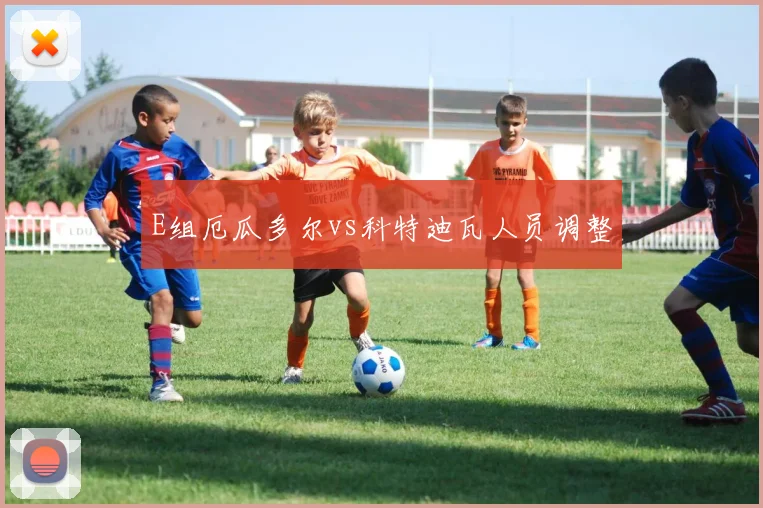 E组厄瓜多尔vs科特迪瓦人员调整