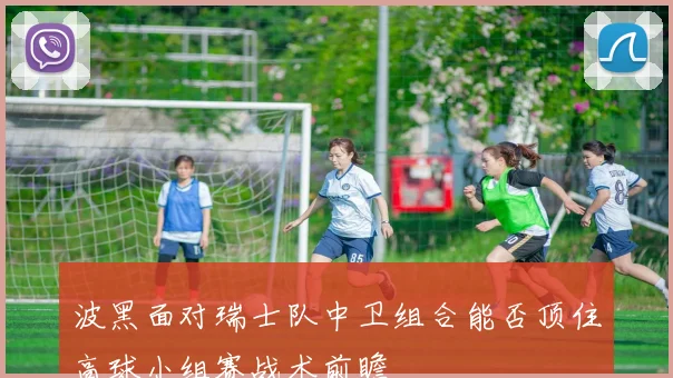 波黑面对瑞士队中卫组合能否顶住高球小组赛战术前瞻