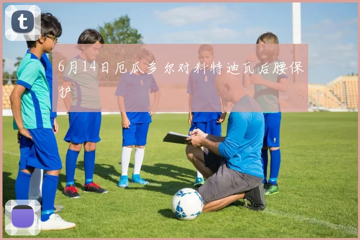 6月14日厄瓜多尔对科特迪瓦后腰保护