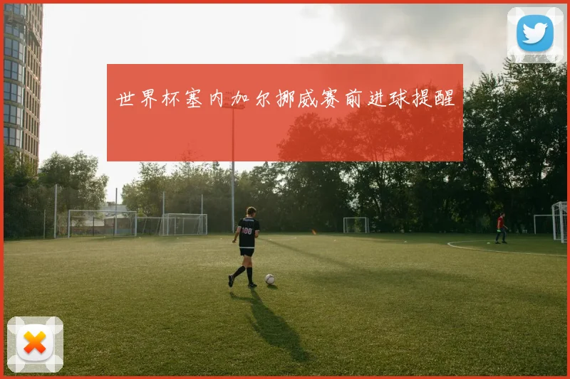 世界杯塞内加尔挪威赛前进球提醒