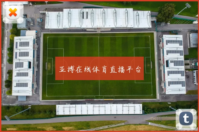 亚搏在线体育直播平台