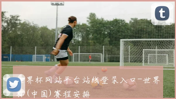 世界杯网站平台站线登录入口-世界杯(中国)赛程安排
