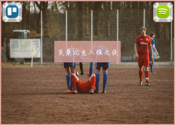 莫桑比克八强之夜