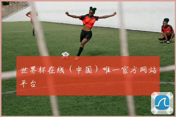 世界杯在线（中国）唯一官方网站平台
