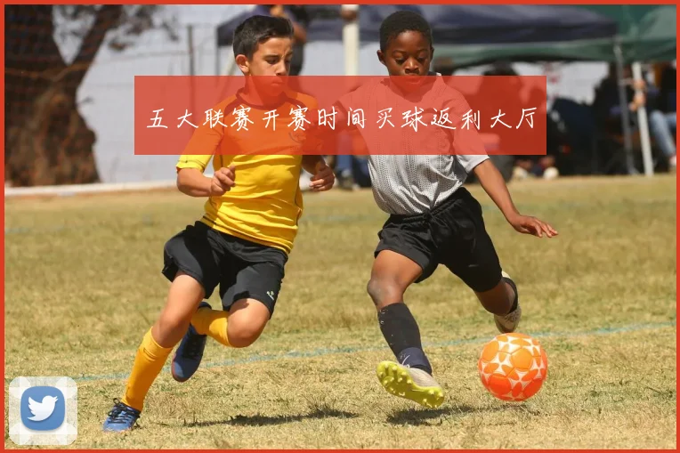 五大联赛开赛时间买球返利大厅