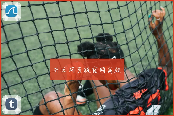 开云网页版官网高效