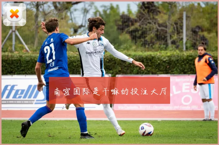 南宫国际是干嘛的投注大厅