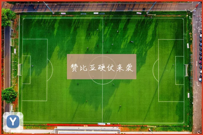 赞比亚硬仗来袭