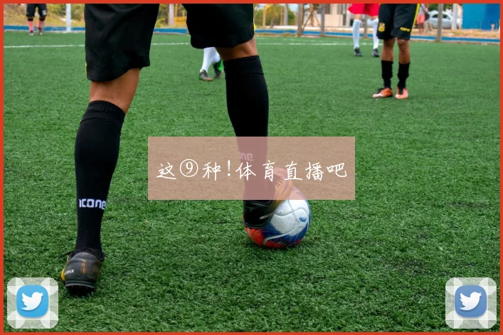 这⑨种!体育直播吧