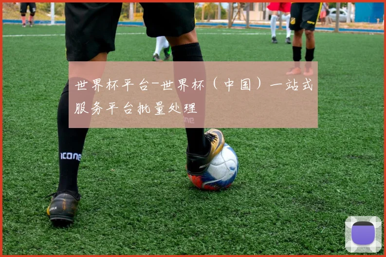 世界杯平台-世界杯（中国）一站式服务平台批量处理