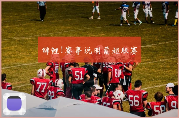 锦鲤!赛事说明葡超联赛