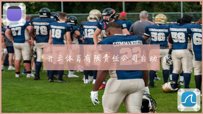 开云体育有限责任公司自动