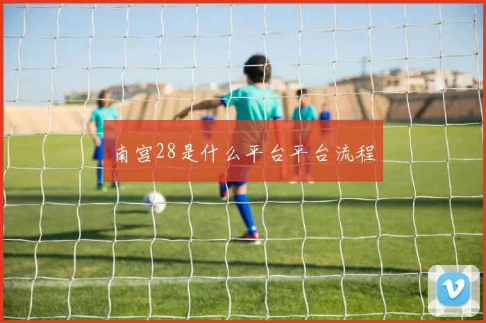 南宫28是什么平台平台流程