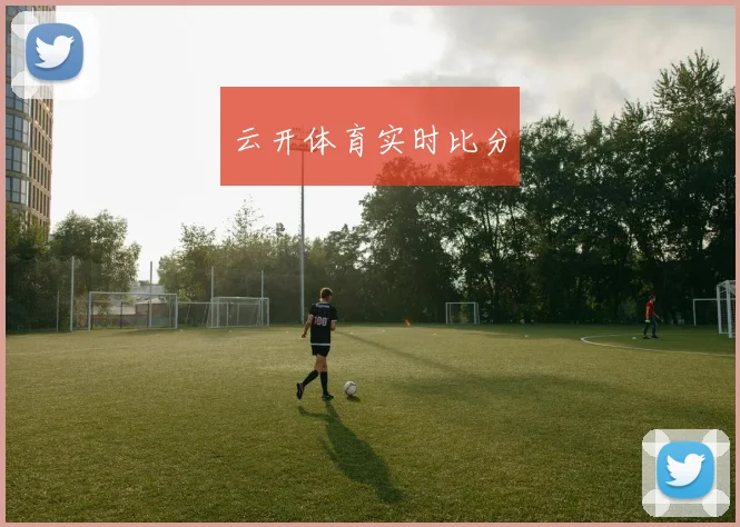 云开体育实时比分