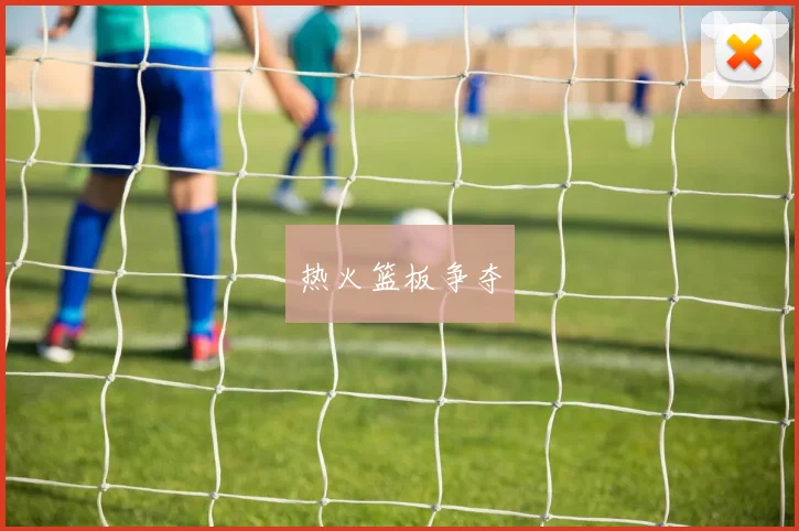 热火篮板争夺
