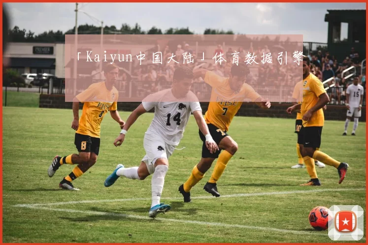 「Kaiyun中国大陆」体育数据引擎