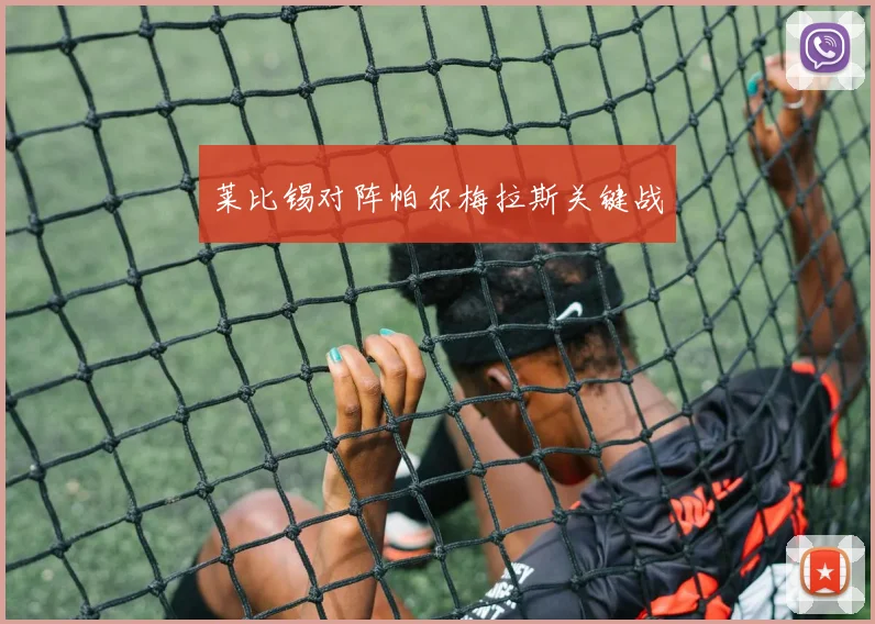 莱比锡对阵帕尔梅拉斯关键战