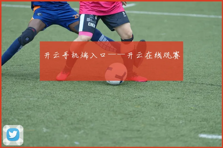 开云手机端入口——开云在线观赛