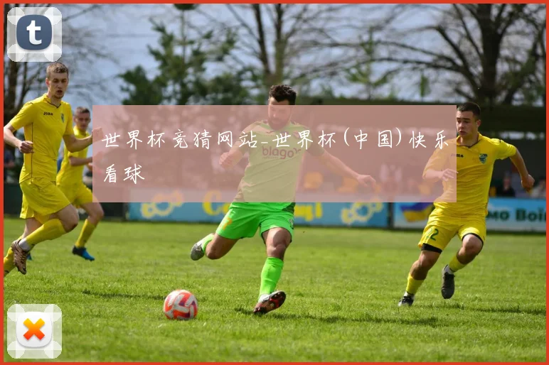 世界杯竞猜网站_世界杯(中国)快乐看球