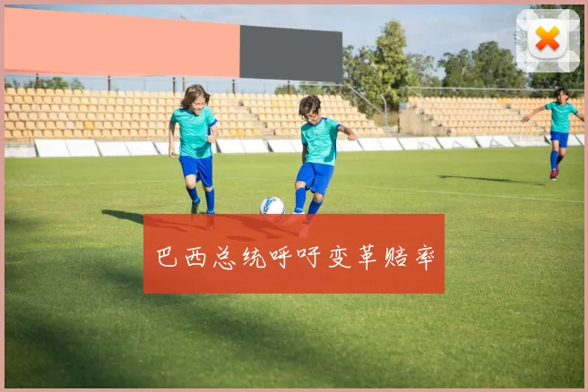 巴西总统呼吁变革赔率