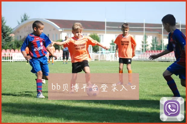 bb贝博平台登录入口