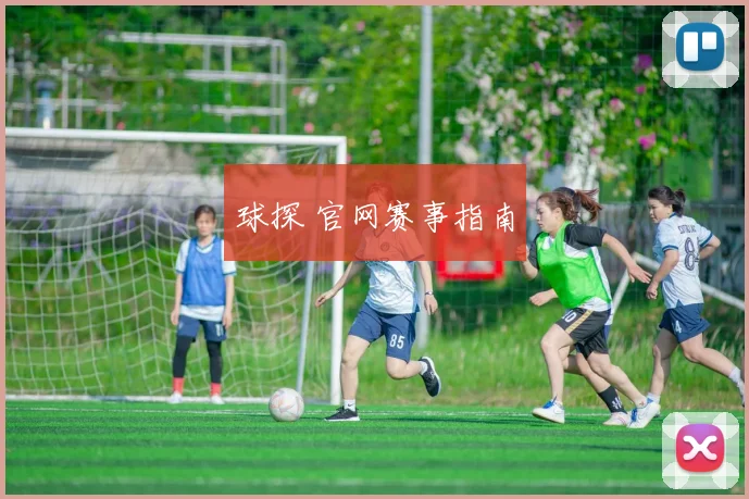 球探 官网赛事指南