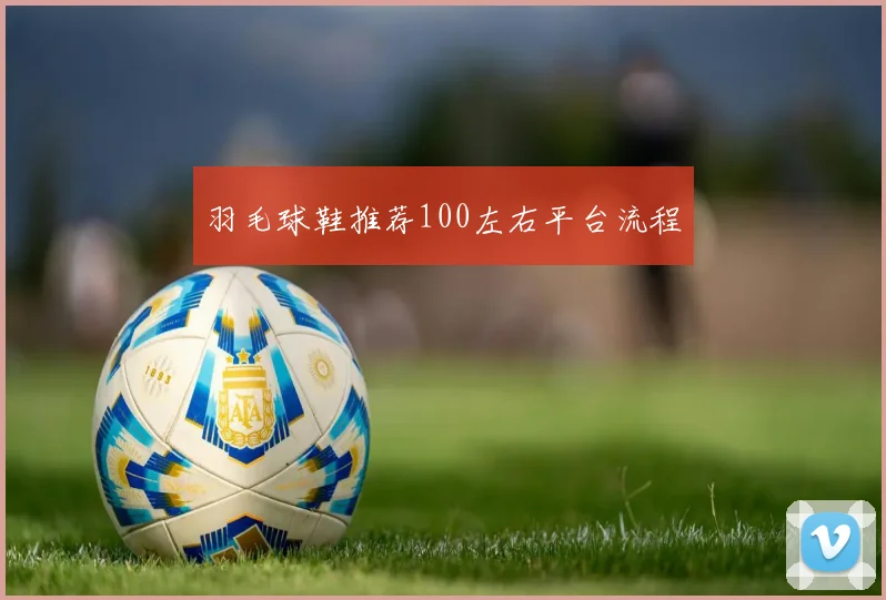 羽毛球鞋推荐100左右平台流程