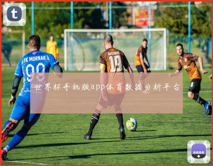 世界杯手机版app体育数据分析平台