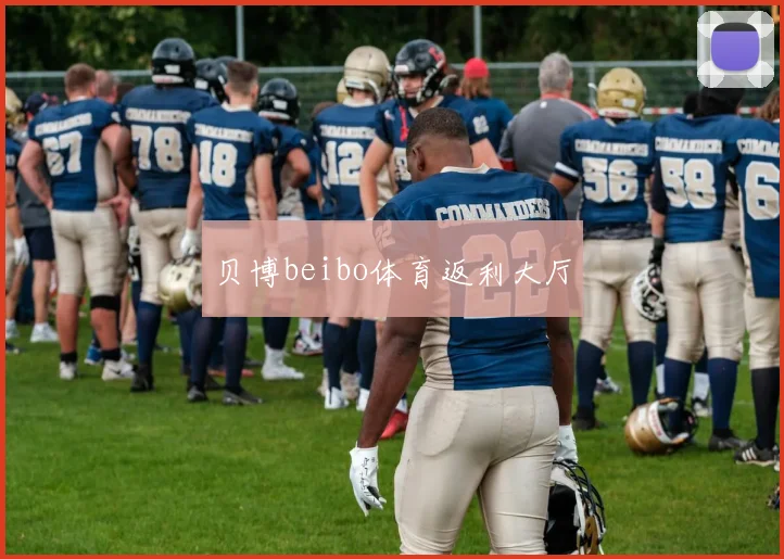 贝博beibo体育返利大厅