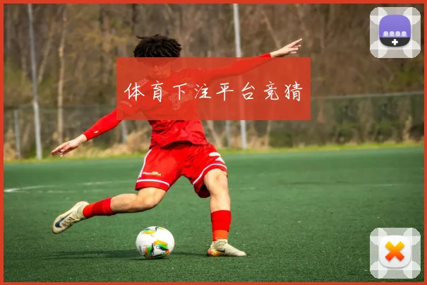 体育下注平台竞猜