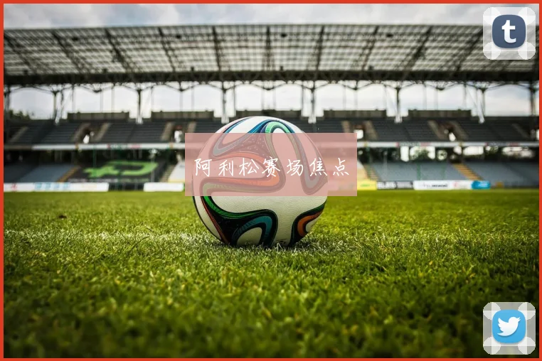 阿利松赛场焦点