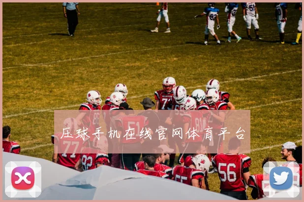 压球手机在线官网体育平台