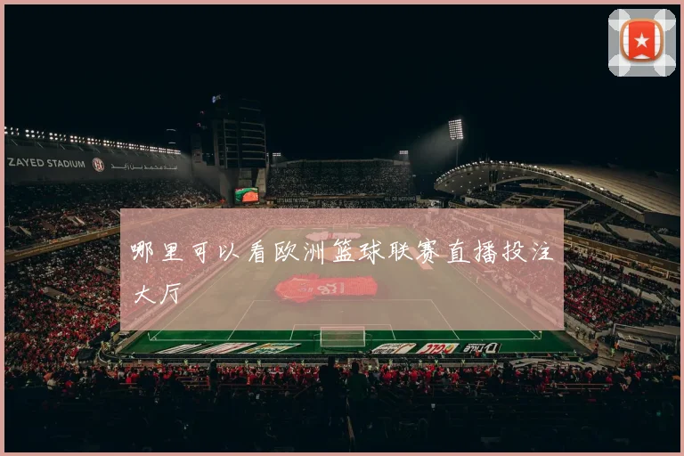 哪里可以看欧洲篮球联赛直播投注大厅