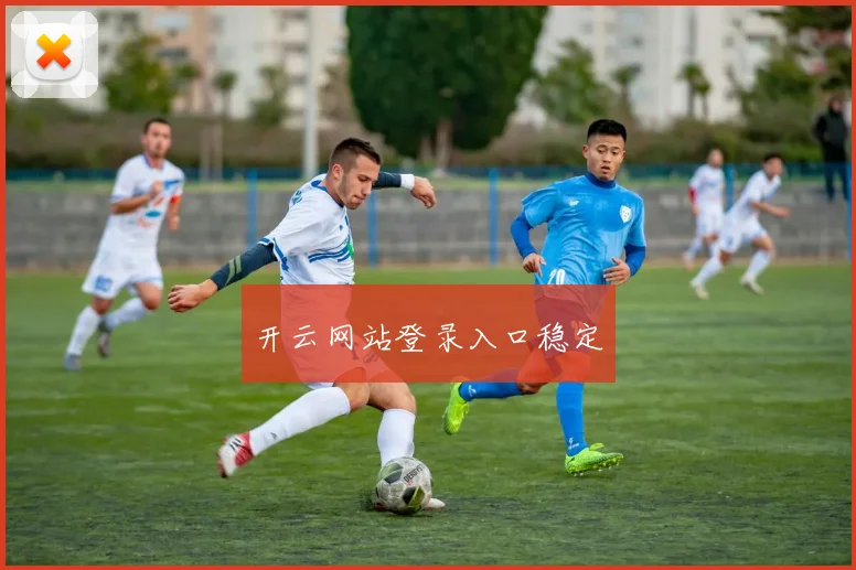 开云网站登录入口稳定
