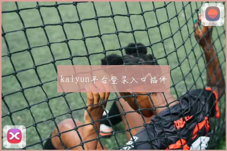 kaiyun平台登录入口插件