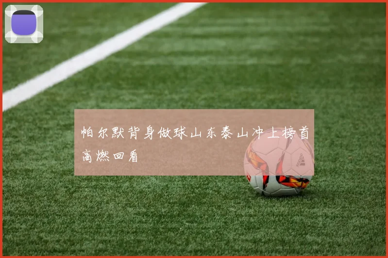 帕尔默背身做球山东泰山冲上榜首高燃回看
